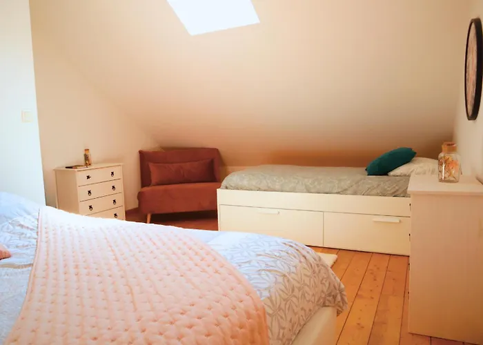 公寓 Le Spacieux A Saint-omer - 2 Chambres, Centre Et Gare A Pied, Parking Prive Gratuit 圣奥梅尔