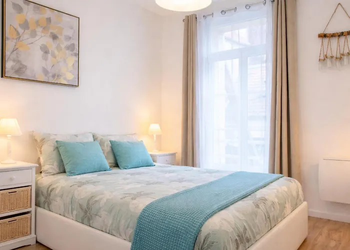 公寓 Le Spacieux A Saint-omer - 2 Chambres, Centre Et Gare A Pied, Parking Prive Gratuit 圣奥梅尔